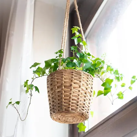 2 Zi.-wohnung Stadtnah, Messenah * Sarstedt