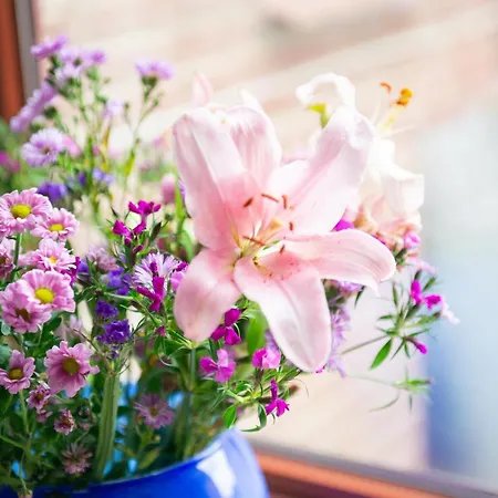 Daire 2 Zi.-wohnung Stadtnah, Messenah