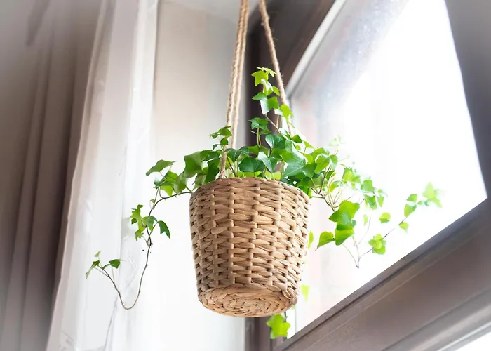 2 Zi.-wohnung Stadtnah, Messenah * Sarstedt