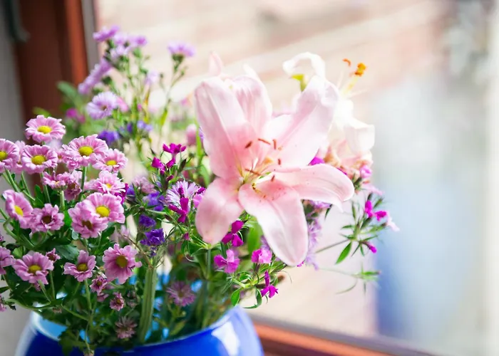 Appartement 2 Zi.-wohnung Stadtnah, Messenah